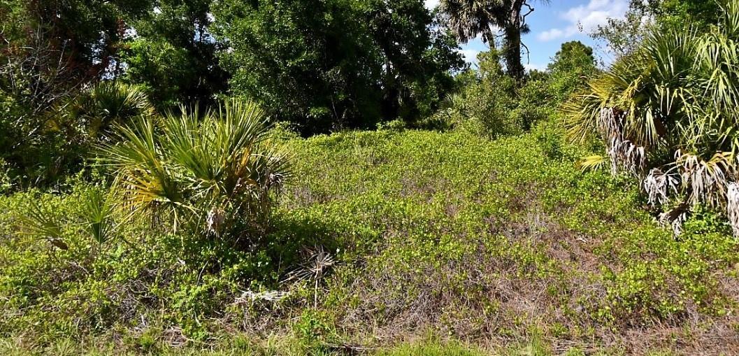 Build your Florida dream home on this desirable vacant lot in the growing community of North Port! This property offers a fantastic opportunity with electricity already nearby (approximately 1 block), helping streamline your future building plans and reducing upfront costs. Whether you’re ready to build now or prefer to hold as an investment, there’s no designated builder and no time frame to start construction—giving you flexibility and control. Located in a peaceful yet convenient area, you’ll enjoy close proximity to everything that makes North Port such a sought-after destination. The city is known for its beautiful natural surroundings, including the popular Warm Mineral Springs Park, scenic parks, walking trails, and outdoor recreation. You’re just a short drive to world-class Gulf Coast beaches, including those in nearby Venice and Sarasota. North Port offers a wide range of amenities including shopping centers, dining options, top-rated schools, golf courses, medical facilities, and easy access to major highways like I-75 for commuting. The area continues to grow rapidly, making this an excellent opportunity for both homeowners and investors alike. Don’t miss your chance to secure a piece of Southwest Florida paradise—drive by today and envision the possibilities! All dimensions are estimates and should be verified by the Buyer.