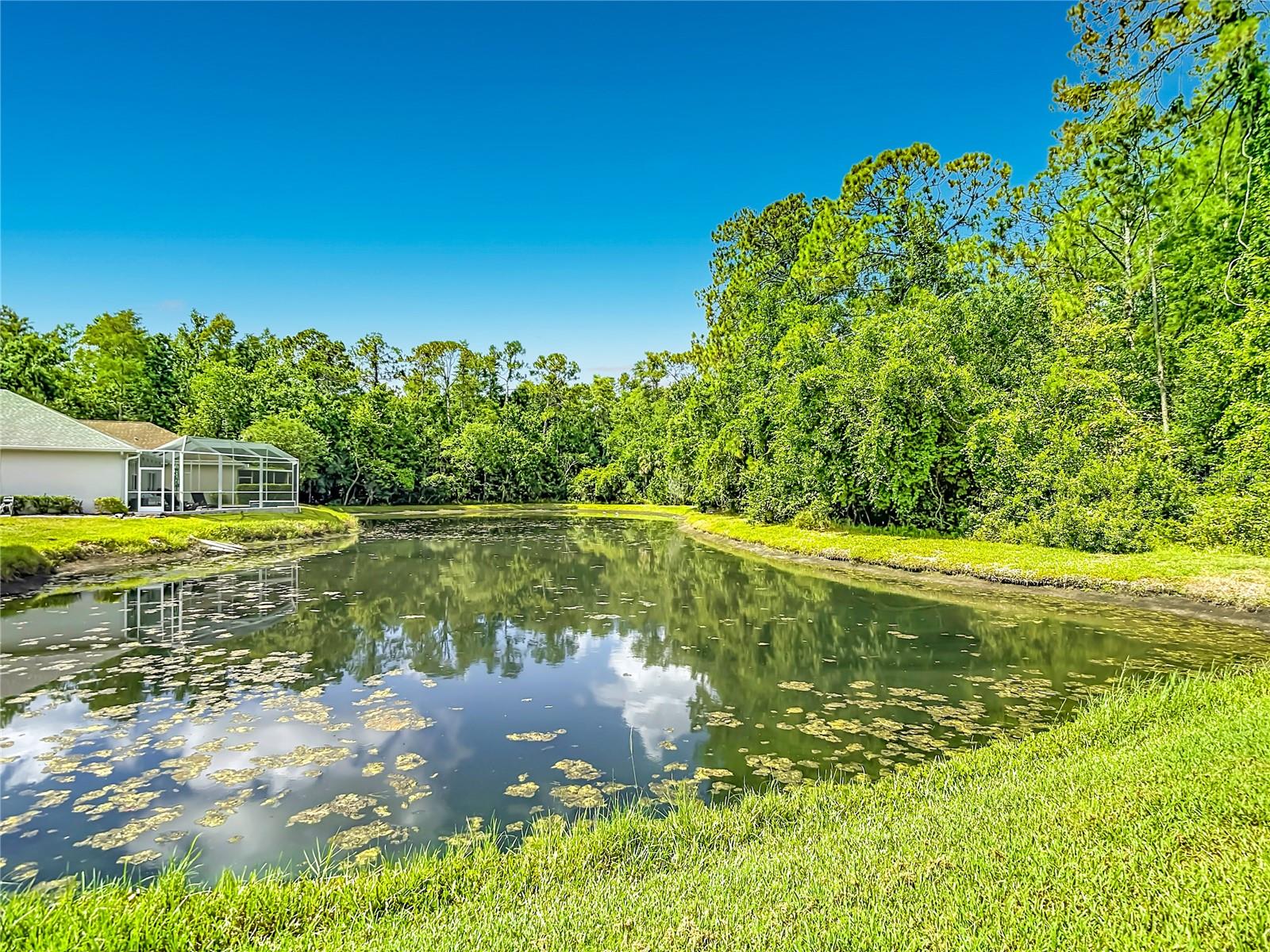 WYNDTREE VLGS 11 & 12 - Residential