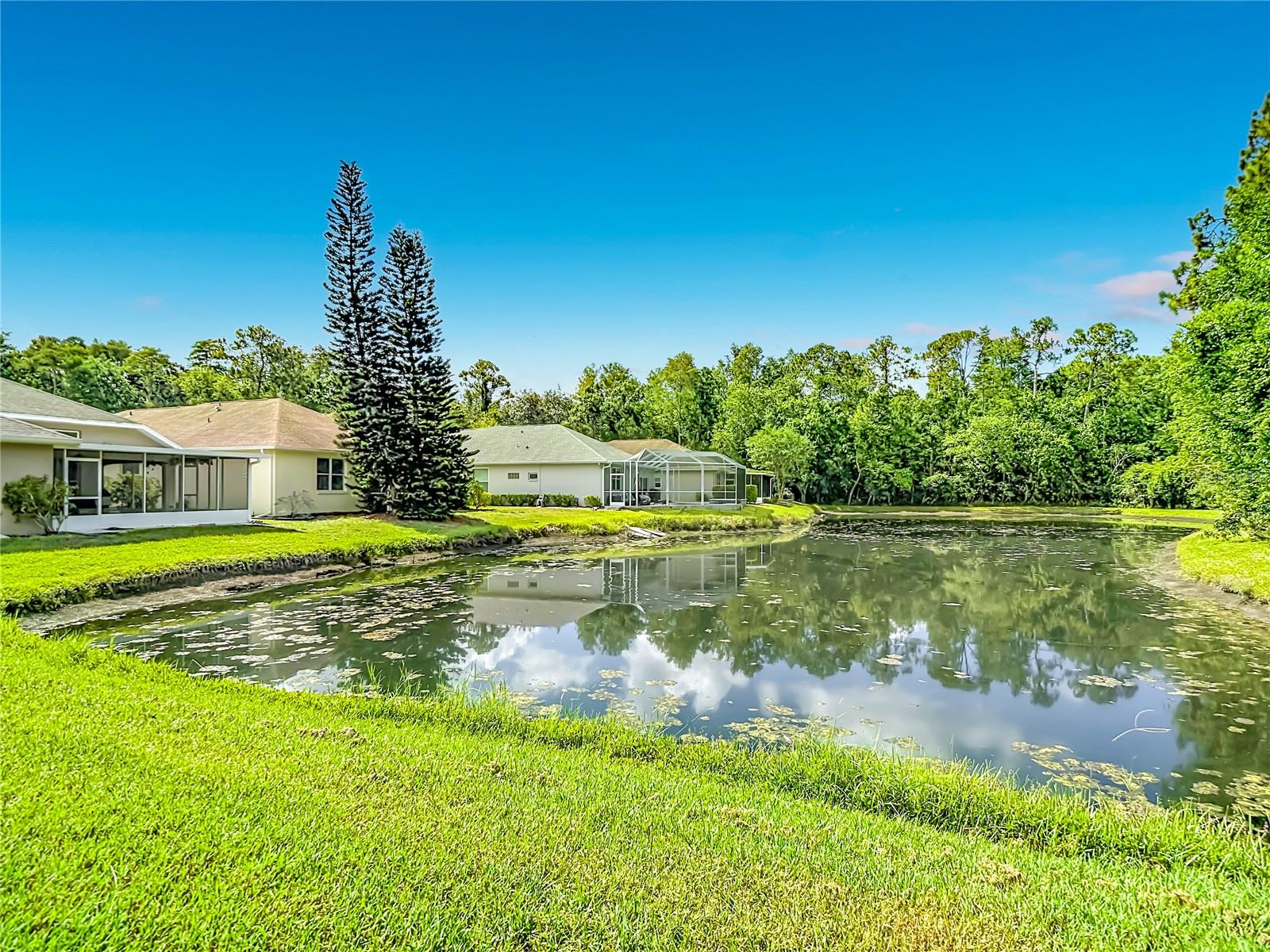 WYNDTREE VLGS 11 & 12 - Residential