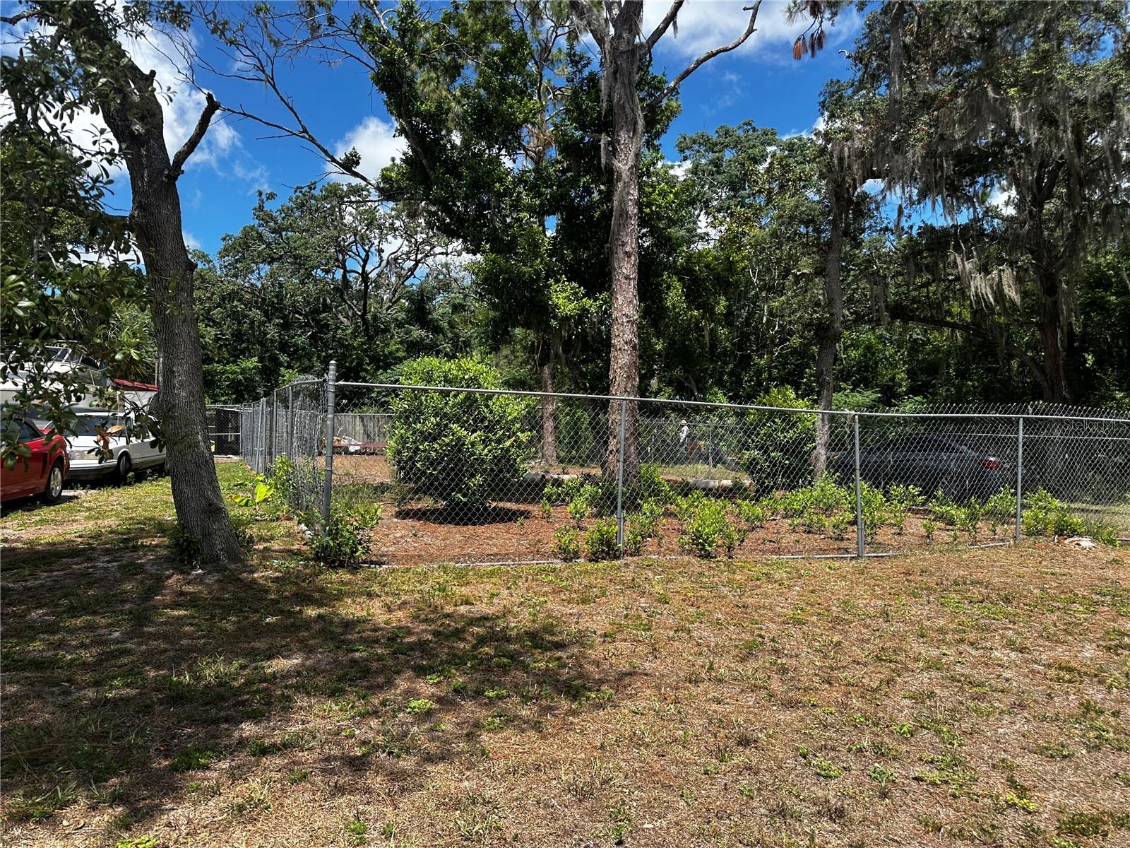 Here is a residential land opportunity with all the ingredients buyers look for: usable size, simple ownership, and room to imagine what comes next. This 7,700-square-foot parcel offers approximately 62 feet of frontage with lot dimensions of 62x110x79x110, giving you a clean, practical footprint for future planning.

The property is fee simple, zoned AR, and located in Flood Zone X. With no HOA, no CDD, and no water frontage listed, it keeps the path straightforward for buyers looking to secure land with flexibility. Utilities are listed as other, with no water or sewer currently connected, making this a true blank canvas for due diligence, design ideas, and future improvement plans.

The page-one image shows a mostly open lot with mature trees nearby and fencing visible, giving the property a grounded, natural setting with immediate visual appeal. Whether you are looking to build, hold, or add another piece of land to your portfolio, this parcel offers the foundation for possibility.

Bring your ideas, bring your builder, and take a closer look at what this land can become. Every great property story starts with vision—and this one is ready for yours.