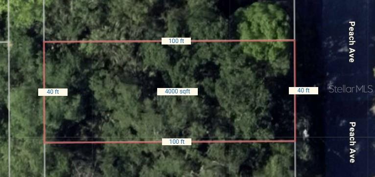 PINE LEVEL - Land