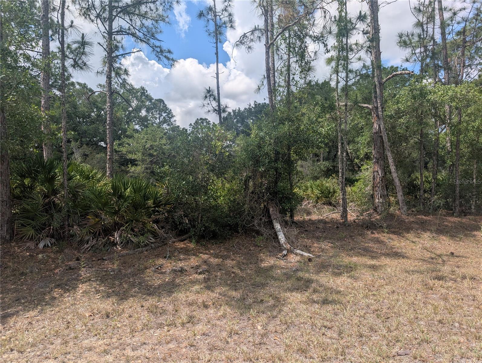 INDIAN LAKE ESTATES - Land
