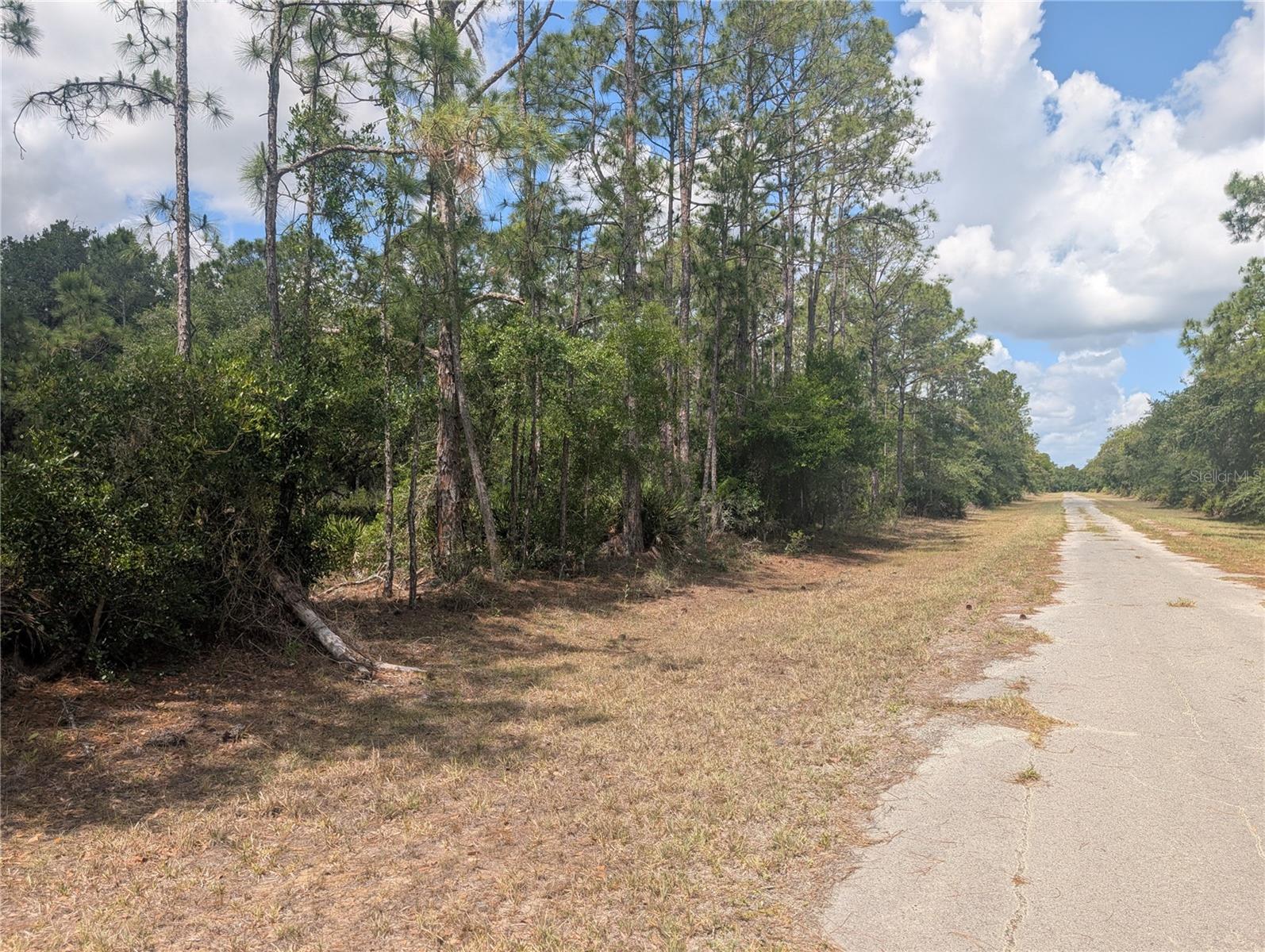 INDIAN LAKE ESTATES - Land
