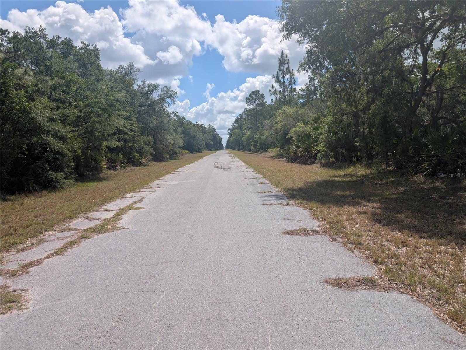 INDIAN LAKE ESTATES - Land