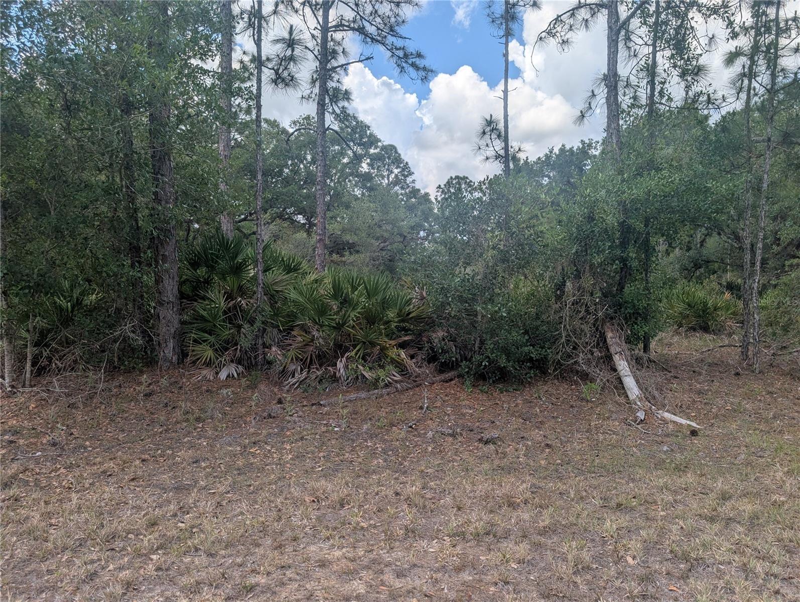 INDIAN LAKE ESTATES - Land