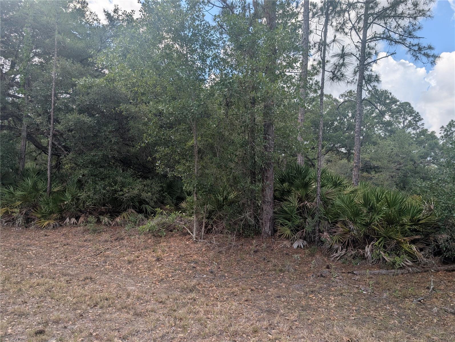INDIAN LAKE ESTATES - Land