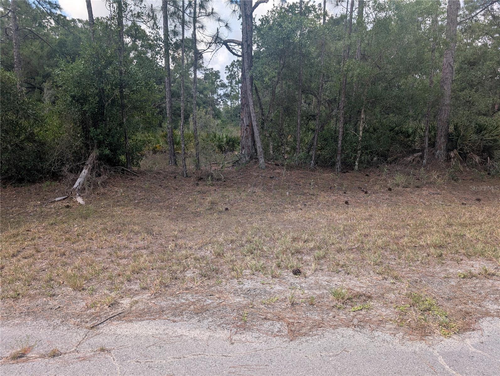 INDIAN LAKE ESTATES - Land