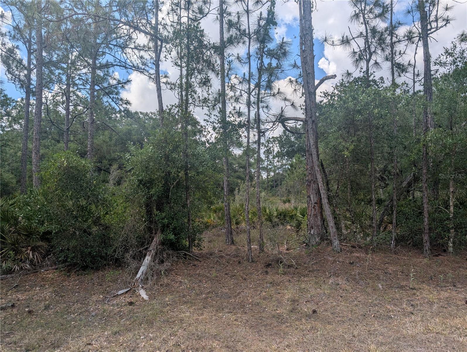 INDIAN LAKE ESTATES - Land