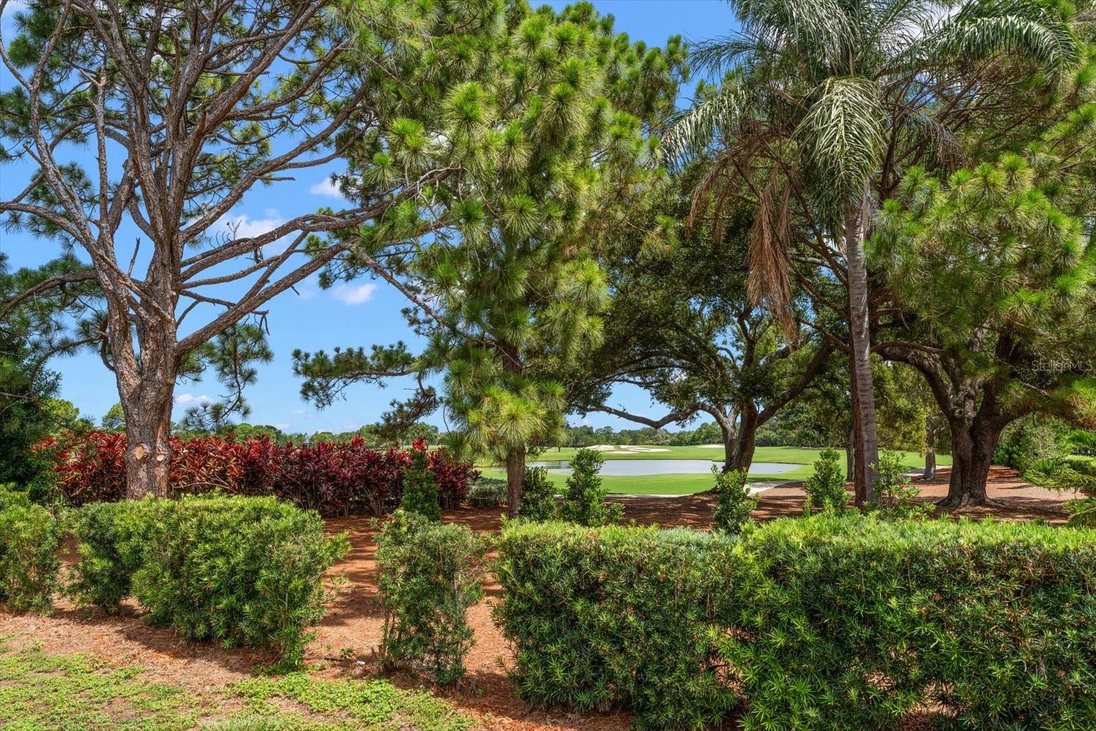 BELLEAIR ESTATES 4TH ADD - Residential