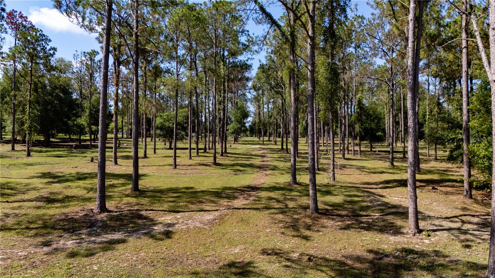 LAKEVIEW XINGS-PH 3 - Land
