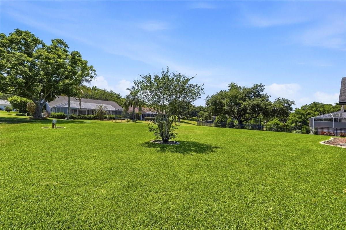 LAKE JULIANA RESERVE - Residential