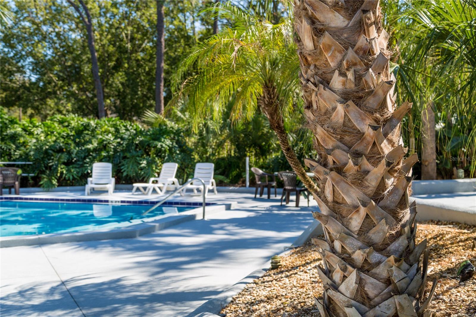 ASHLEY COURT CONDO - Residential