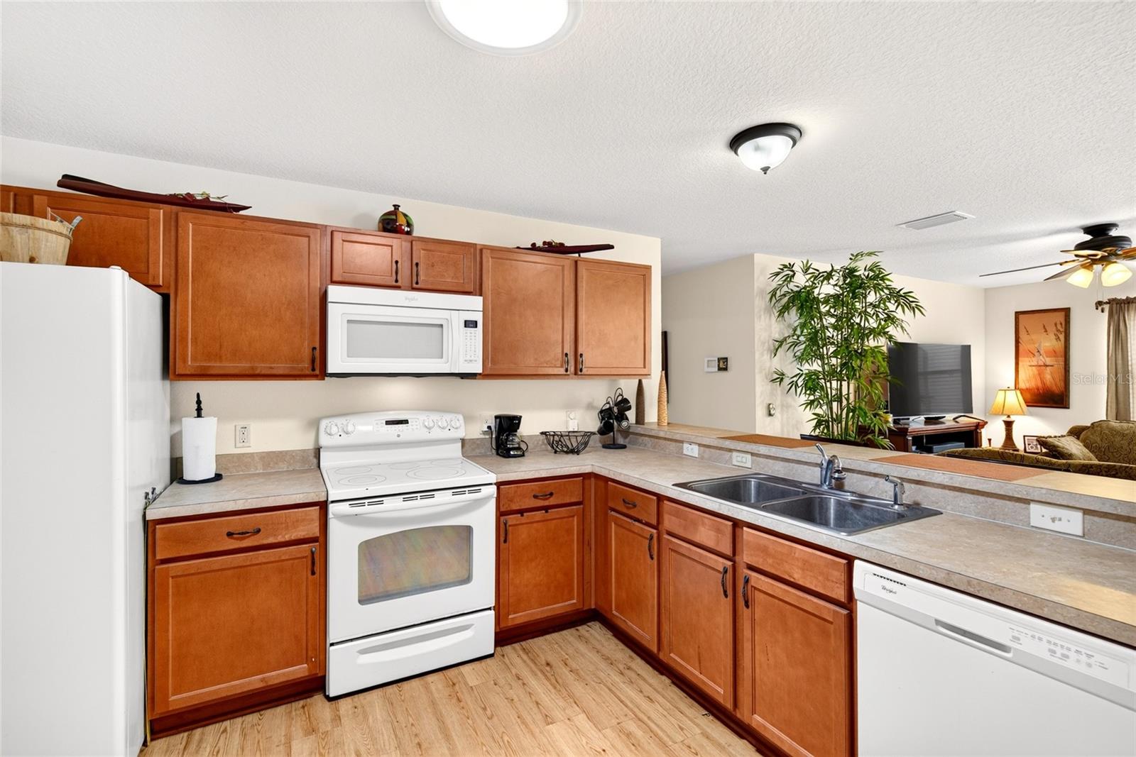 VILLAGES OF SUMTER PLACIDA VILLAS - Residential