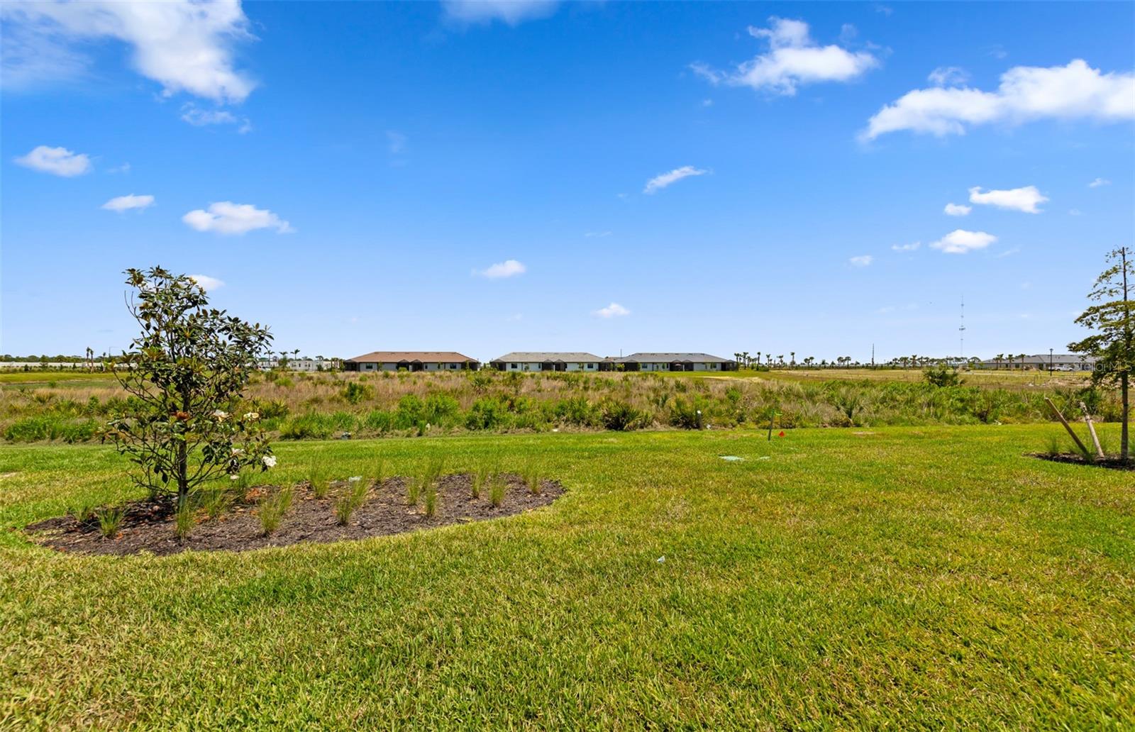 TALON PRESERVE ON PALMER RANCH - Residential