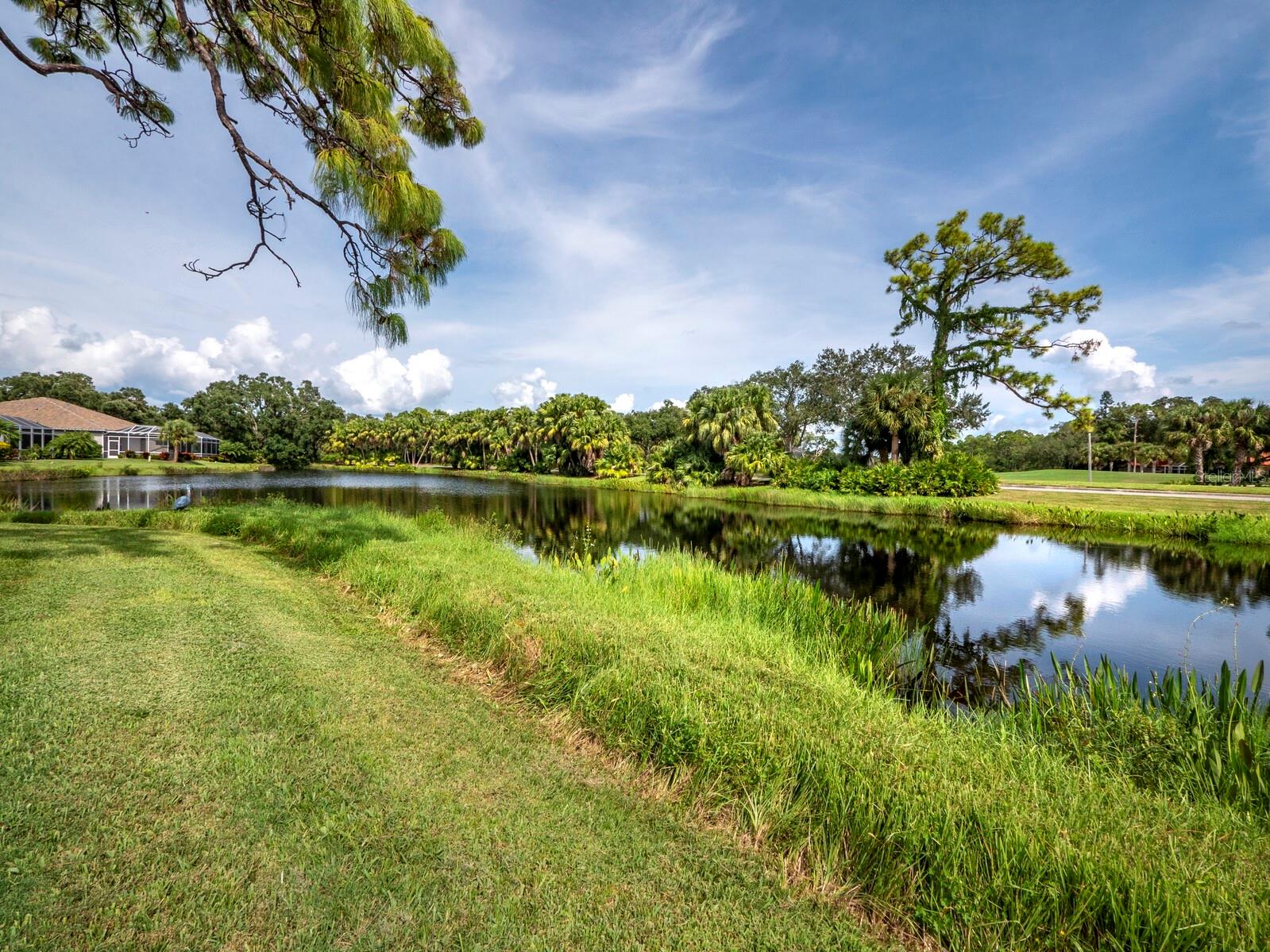 STONEYBROOK GOLF & COUNTRY CLUB - Residential