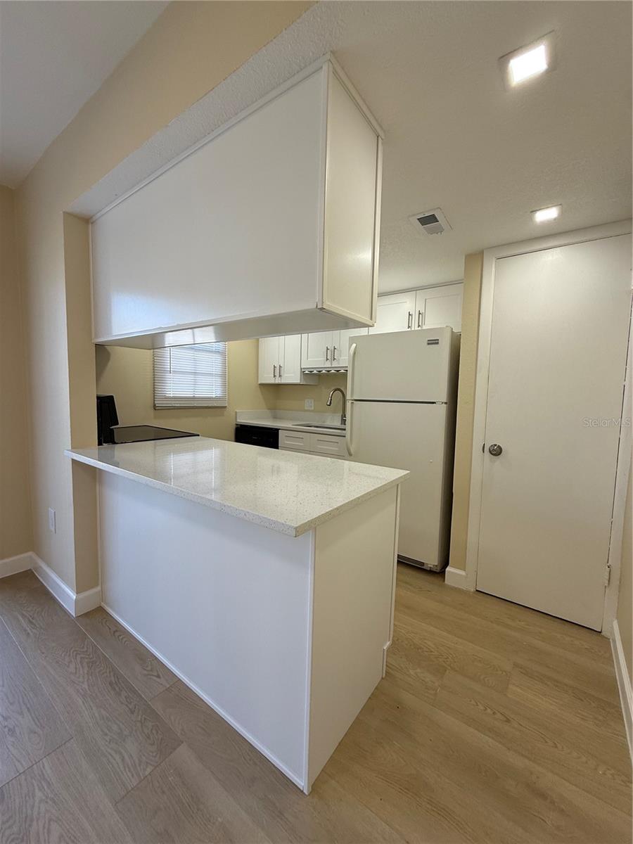 CATALINA ISLES CONDO - Residential