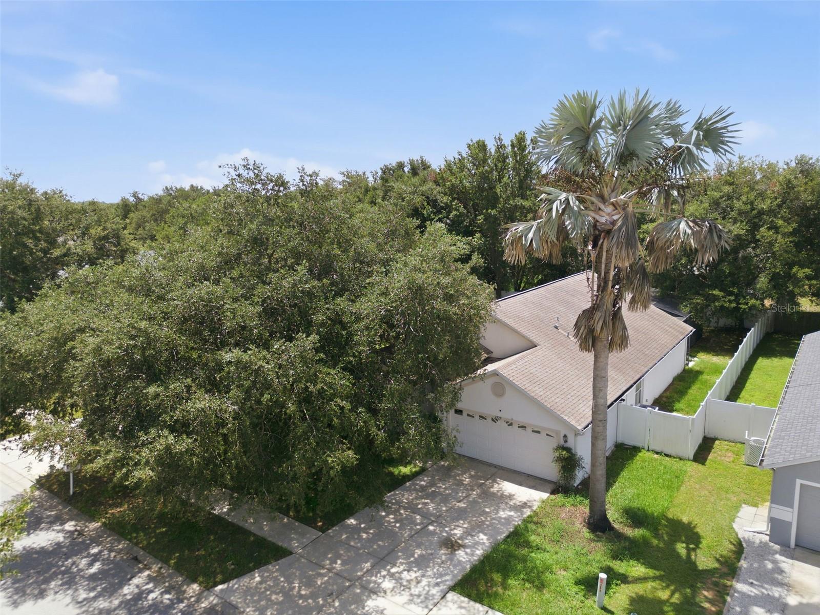 TAVARES CHELSEA OAKS - Residential