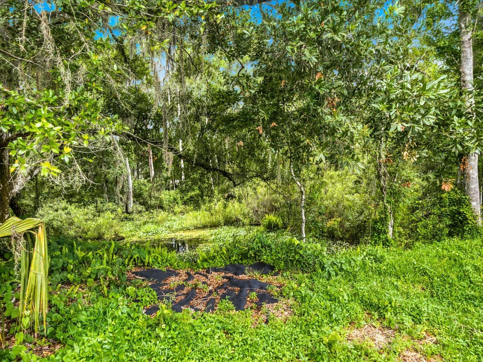 TAMPA DOWNS HEIGHTS - Residential