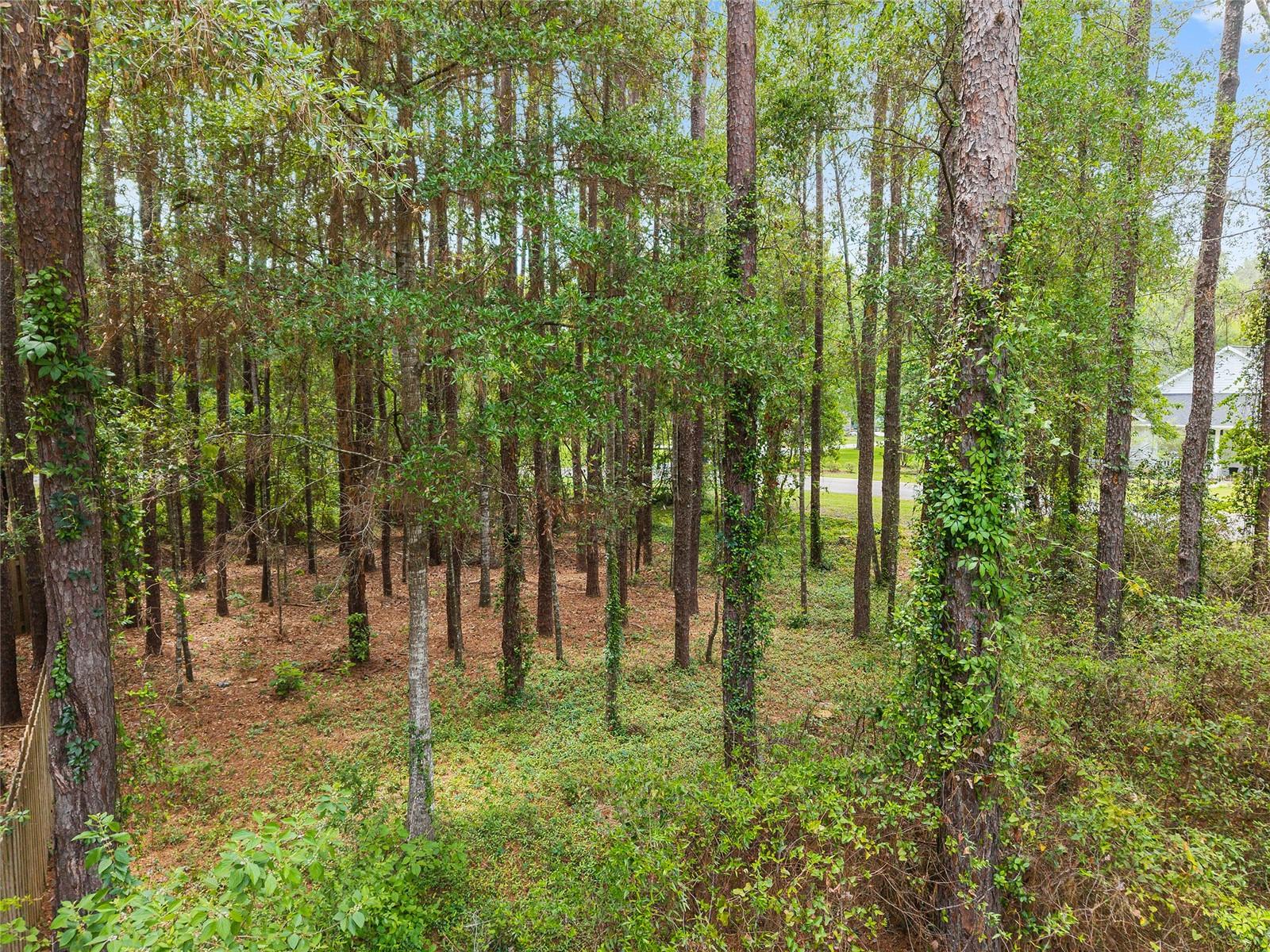 CAMBRIDGE FOREST PH V - Residential