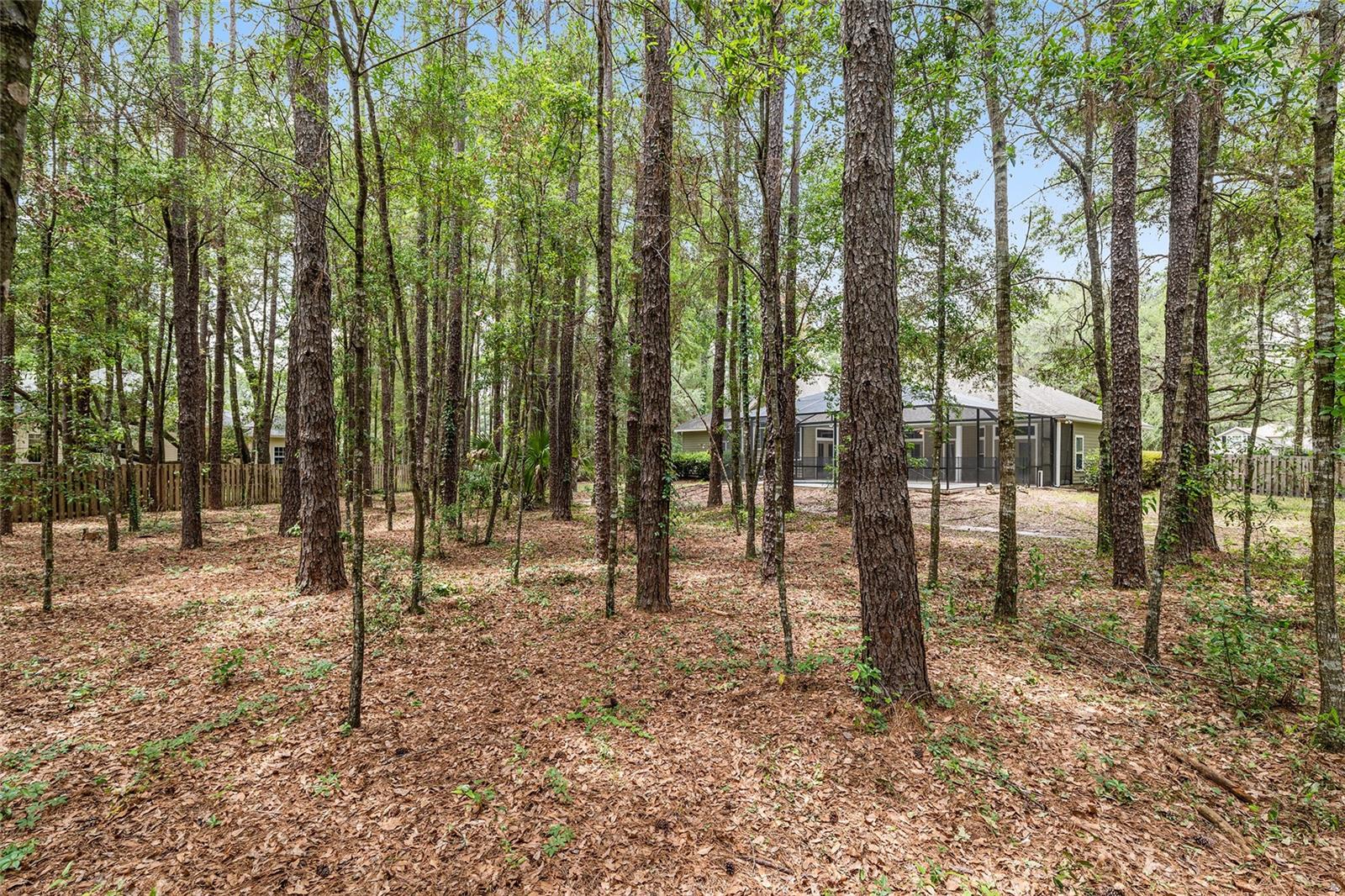 CAMBRIDGE FOREST PH V - Residential