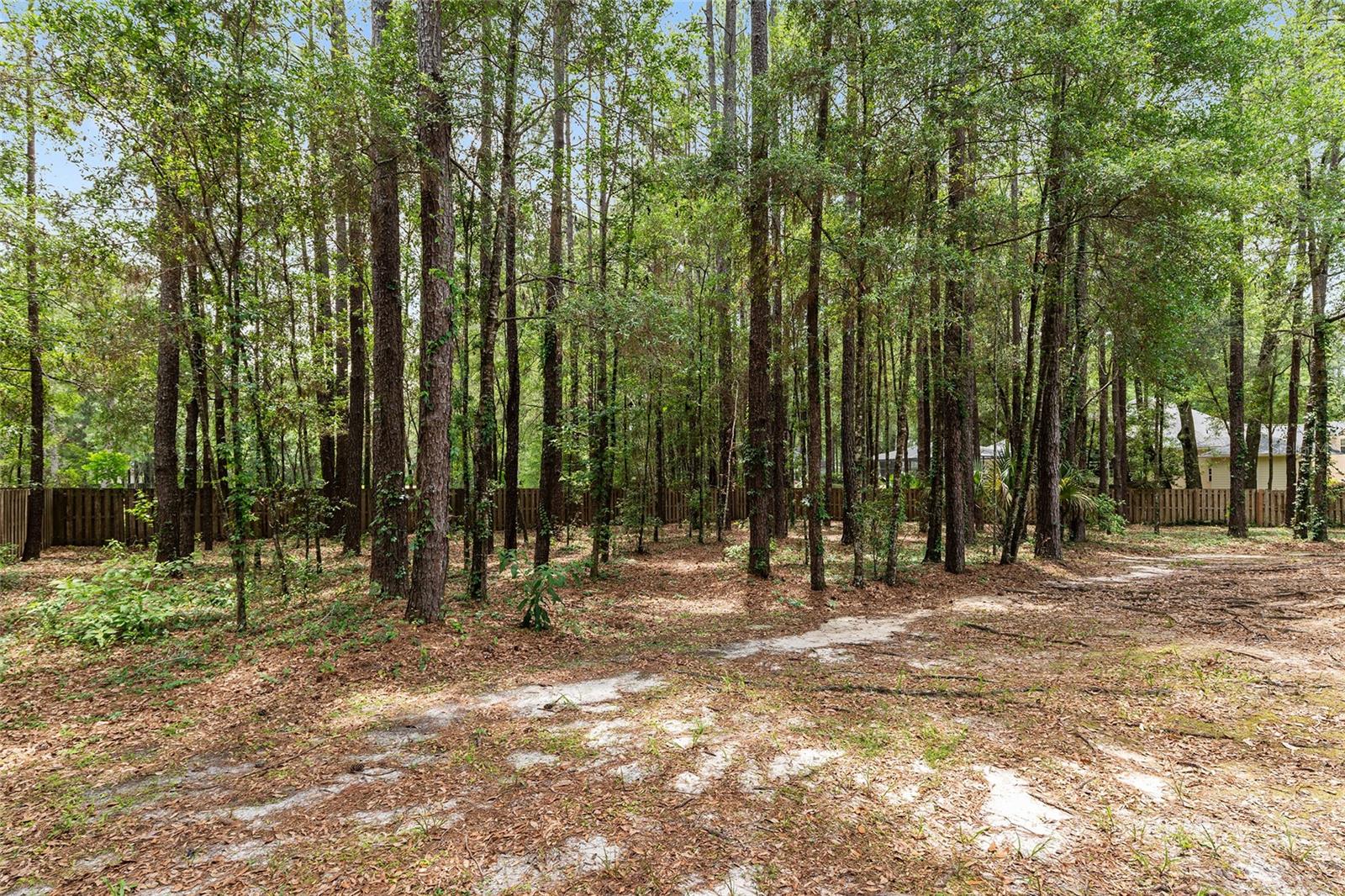 CAMBRIDGE FOREST PH V - Residential