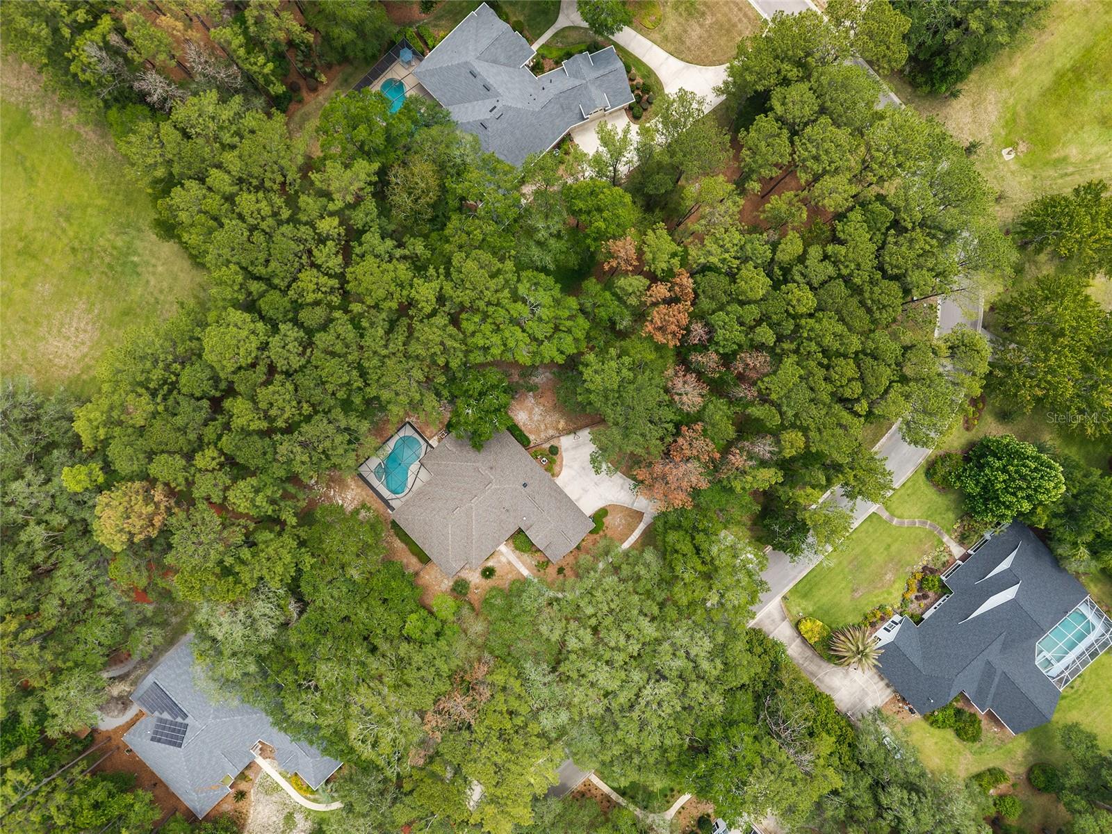CAMBRIDGE FOREST PH V - Residential