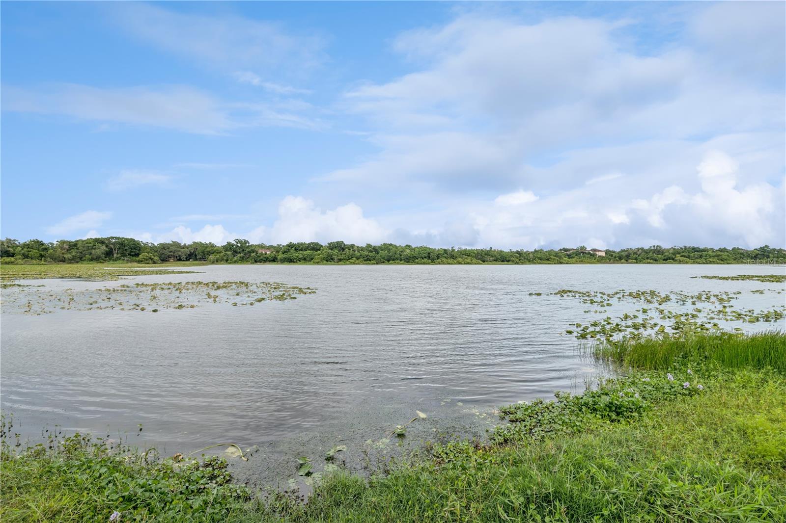 LAKE LOTUS CLUB 1 A CONDO - Residential