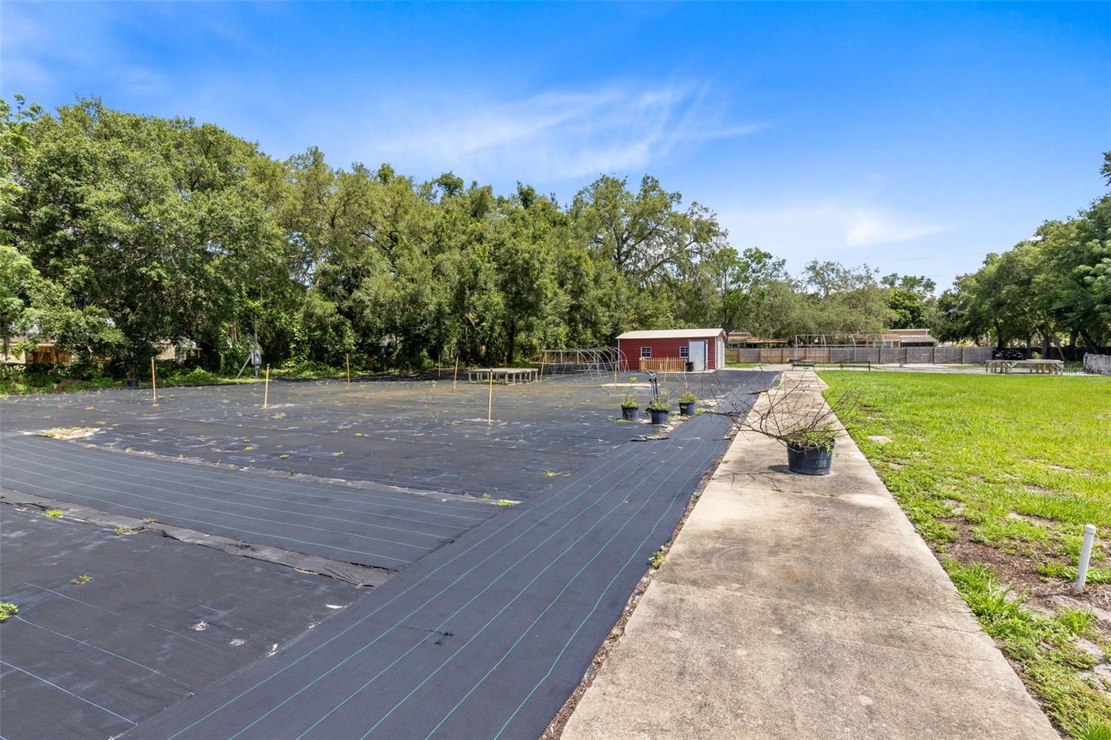 APOPKA RANCHES - Commercial Sale