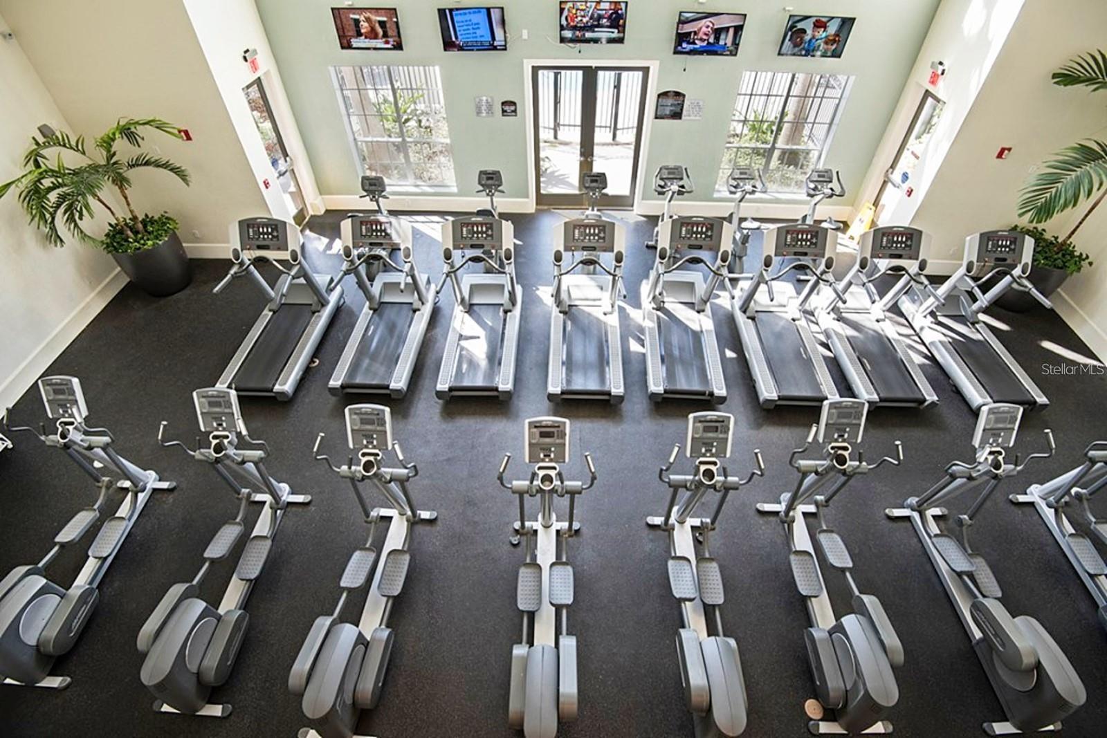 BELMONT/PK CENTRAL CONDO - Residential Lease