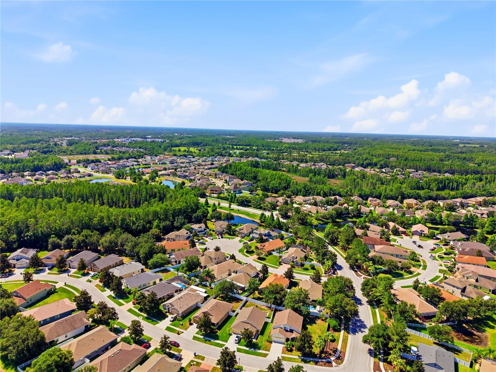 LAKESHORE RANCH PH I - Residential