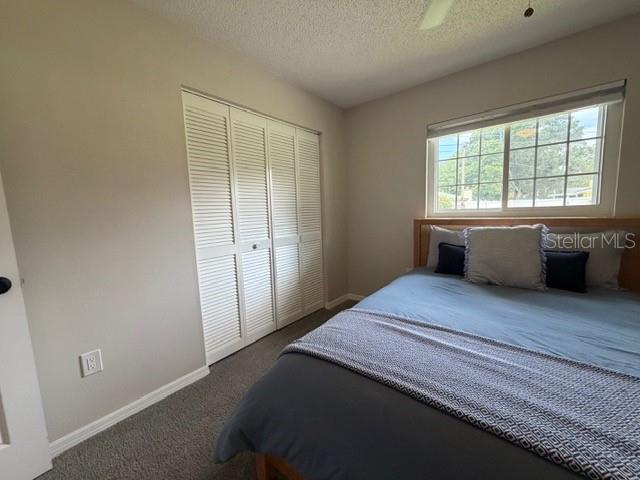 CITRUS PARK - Residential