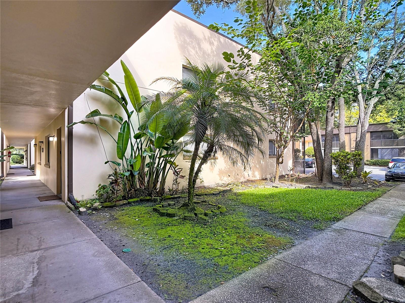 RAINTREE VILLAGE CONDO N - Residential