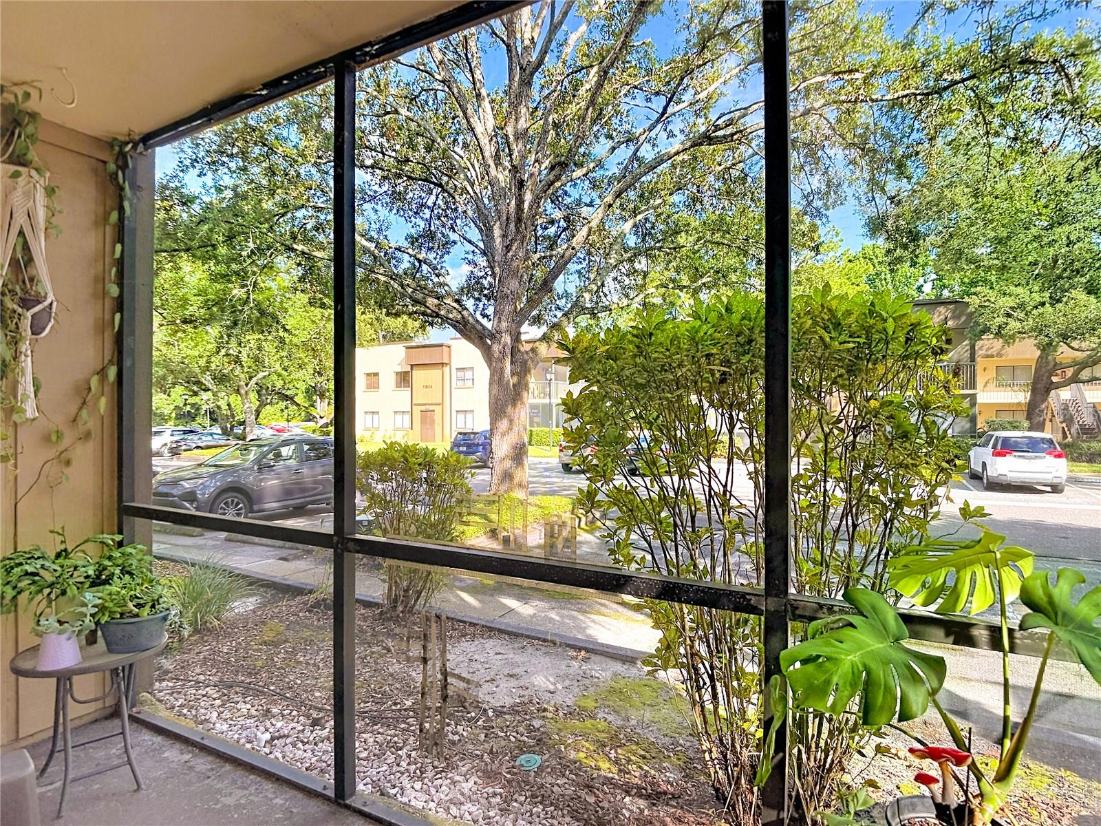 RAINTREE VILLAGE CONDO N - Residential