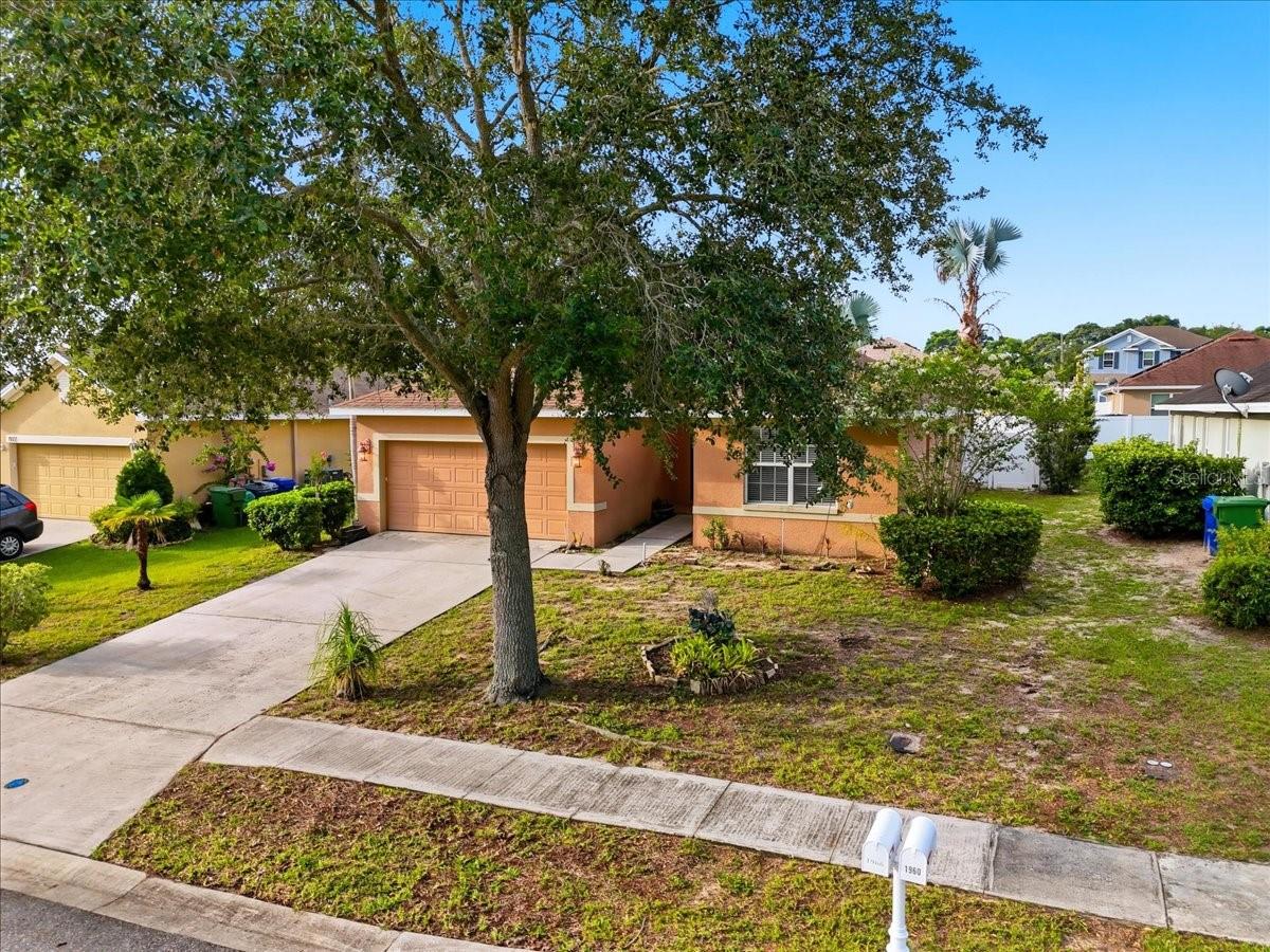 BUCKEYE TRACE - Residential