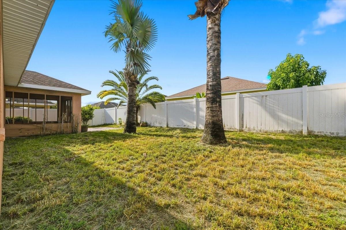 BUCKEYE TRACE - Residential