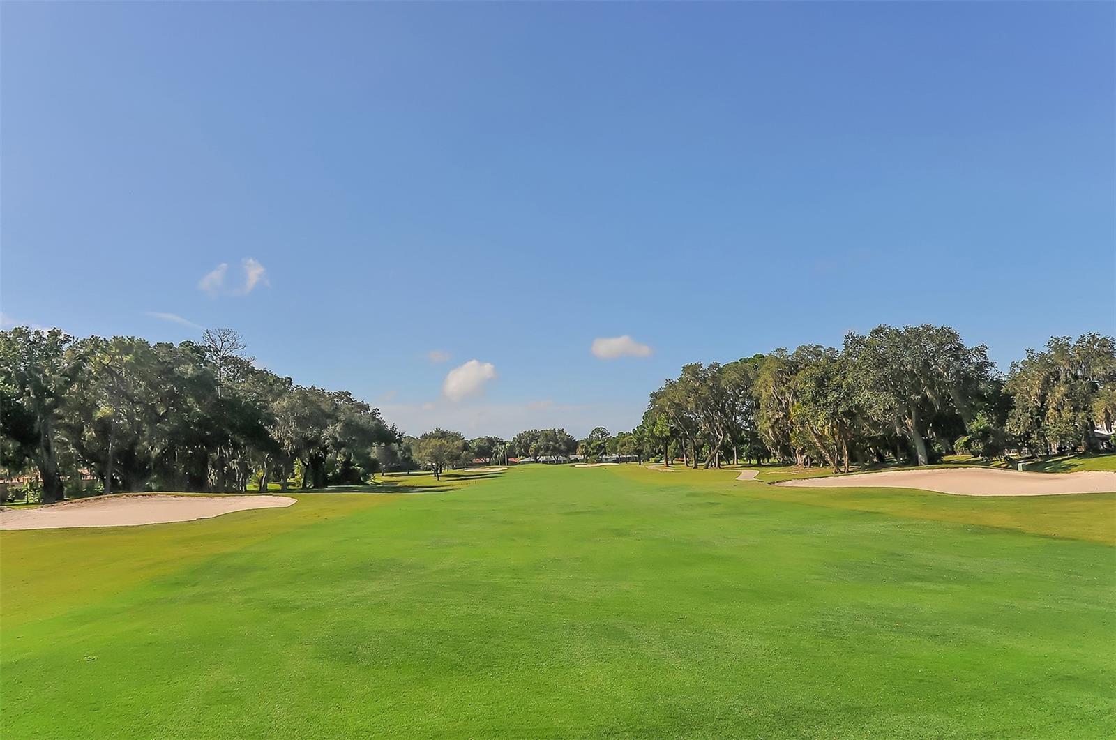 CARLYLE AT VILLAGES OF PALM-AIRE - Residential