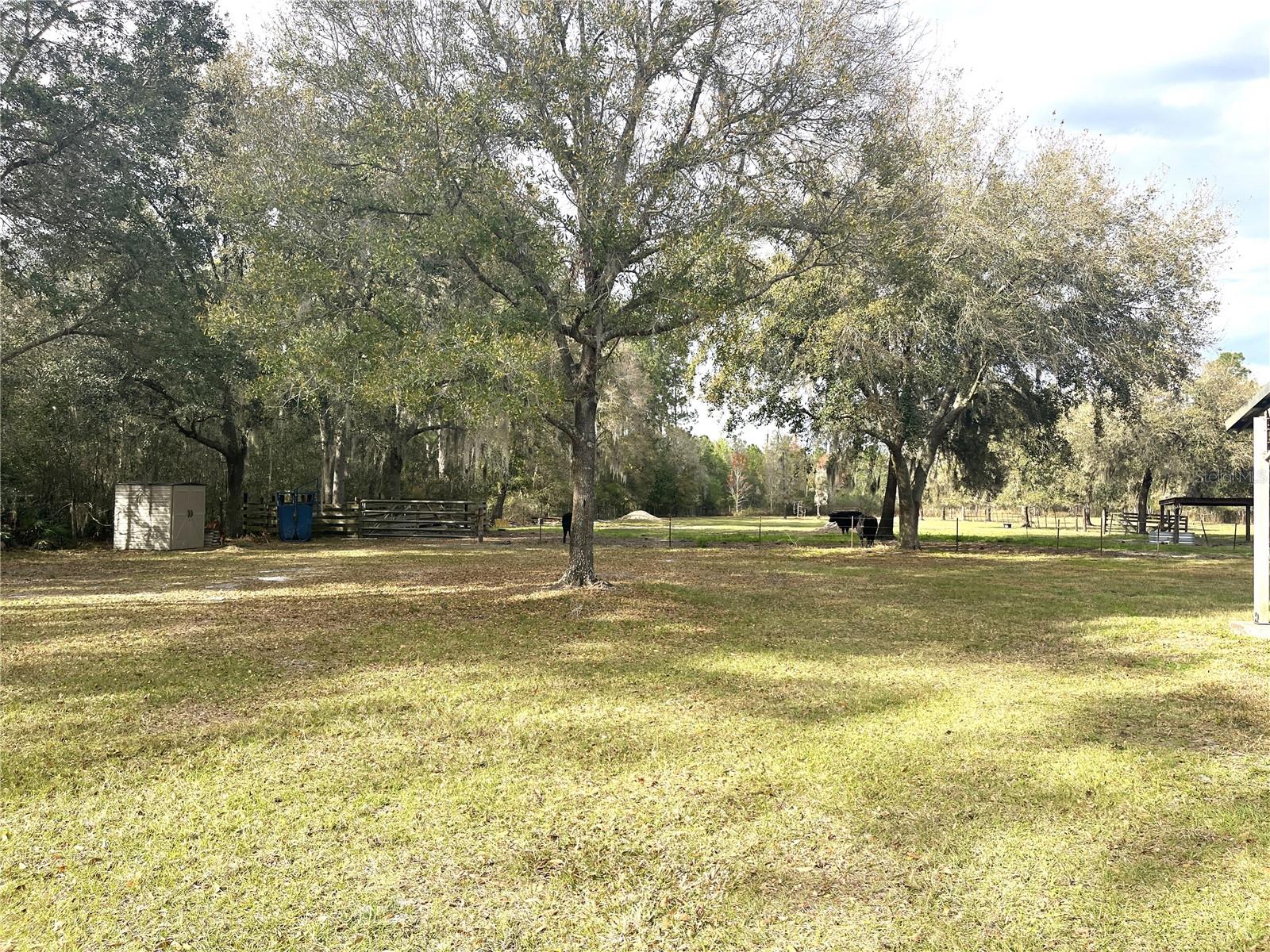 METES AND BOUNDS KING LAKE AREA - Residential
