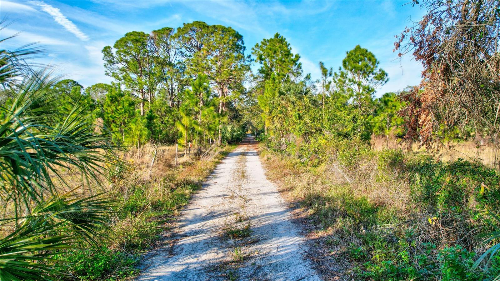 ACREAGE - Land