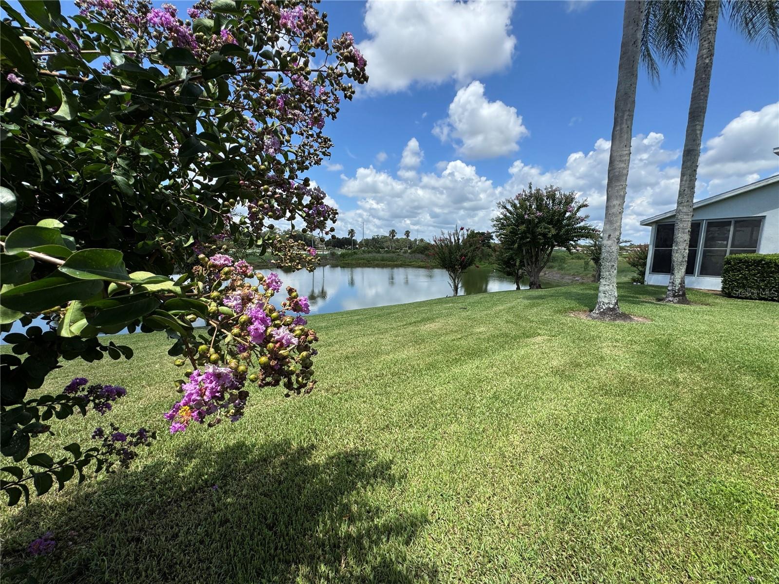 GALLERY/RIDGEWOOD LAKES - Residential