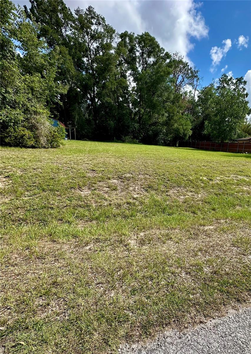 OCALA PARK ESTATE - Land