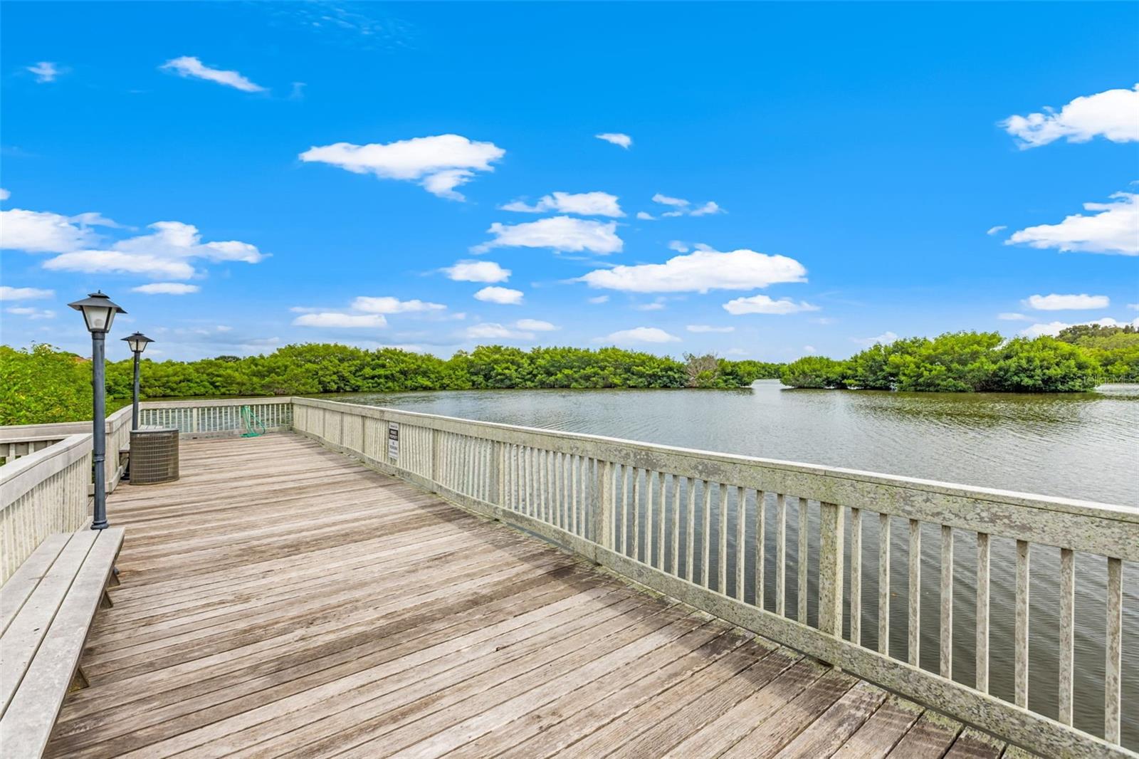 SEMINOLE ISLE TWNHMS - Residential