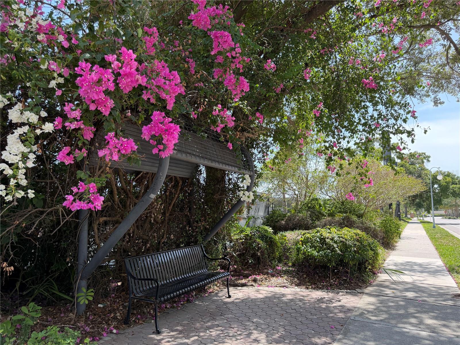 PARKCREST HARBOUR ISLAND CONDO - Residential