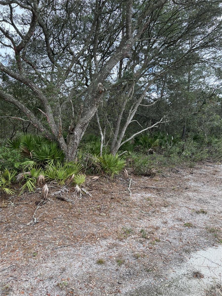 Build your dream home here or manufactured home! Whether you're ready to build now or invest for the future, this lot offers an incredible opportunity in a growing area of Marion County.