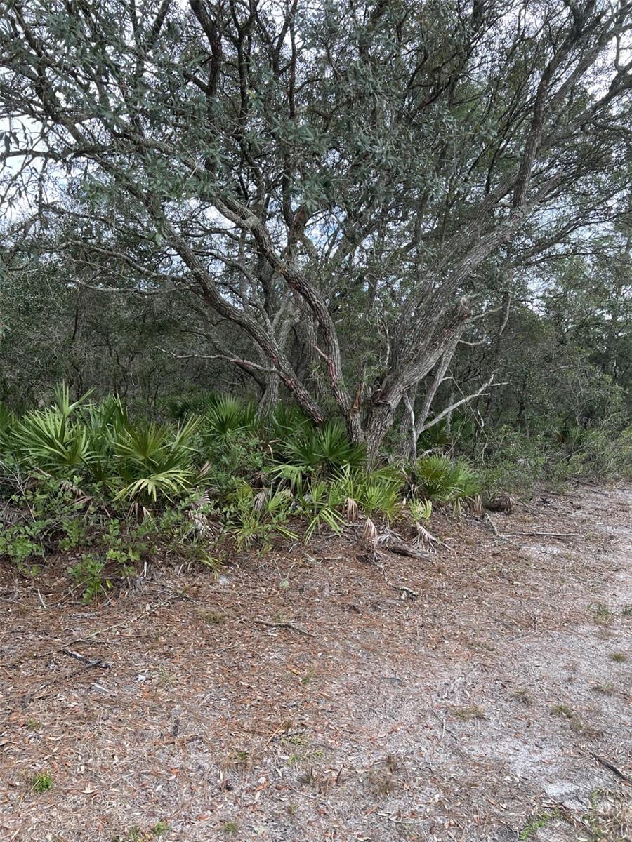 MILL CREEK CAMPSITES - Land