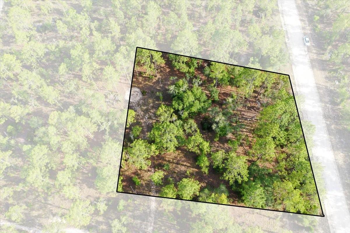 Rare opportunity to own up to 10 acres in Williston Highlands! This unique offering includes ten adjoining 1-acre lots available for purchase together or individually, giving you the flexibility to build your dream home, create a private retreat, or invest in Florida land. Enjoy plenty of room for your home, workshop, RV, boats, horses, and all your outdoor toys in a peaceful country setting just minutes from Williston's amenities. Located in the heart of Florida's Horse Country, the property is also a short drive to the World Equestrian Center in Ocala, as well as popular attractions like Devil's Den and Blue Grotto springs. Whether you're looking to build now or invest for the future, this property offers privacy, natural beauty, and the freedom to create the lifestyle you've been looking for.