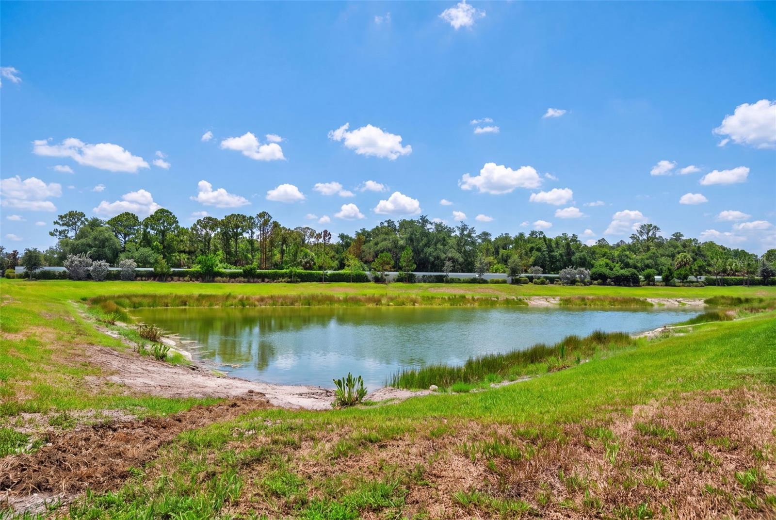 BEACHWALK BY MANASOTA KEY PH - Residential