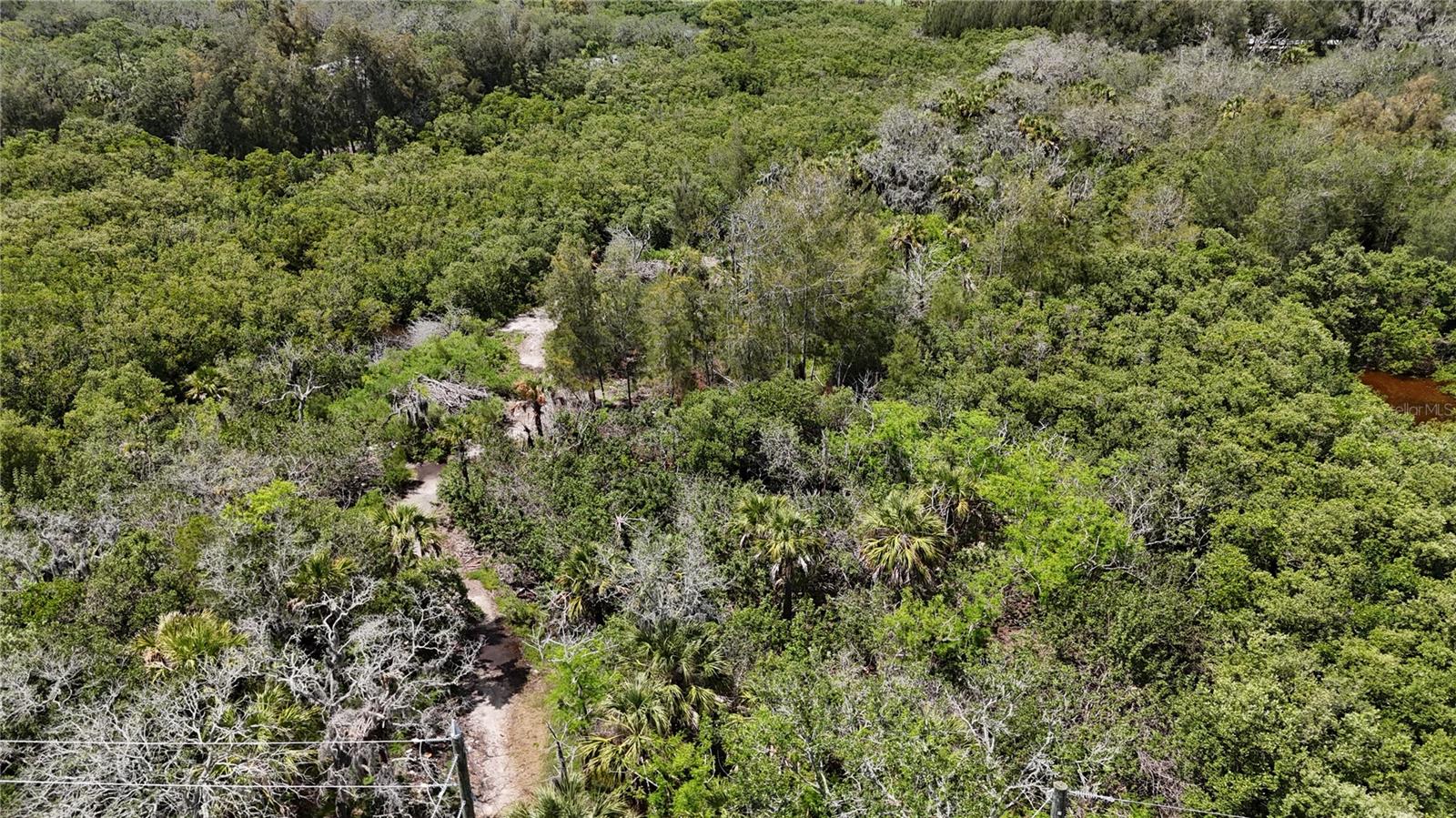 TAMPA TARPON SPGS LAND CO - Land