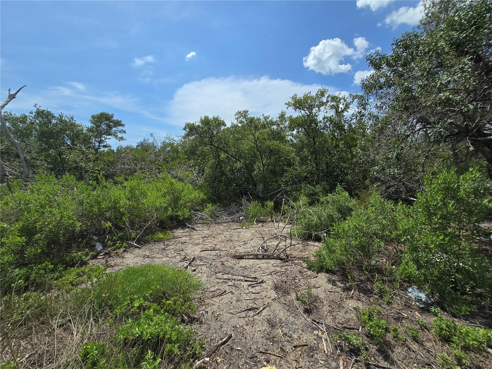 TAMPA TARPON SPGS LAND CO - Land