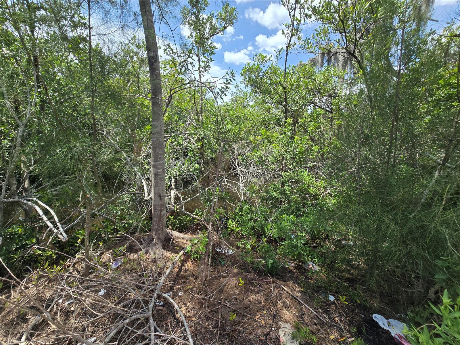 TAMPA TARPON SPGS LAND CO - Land