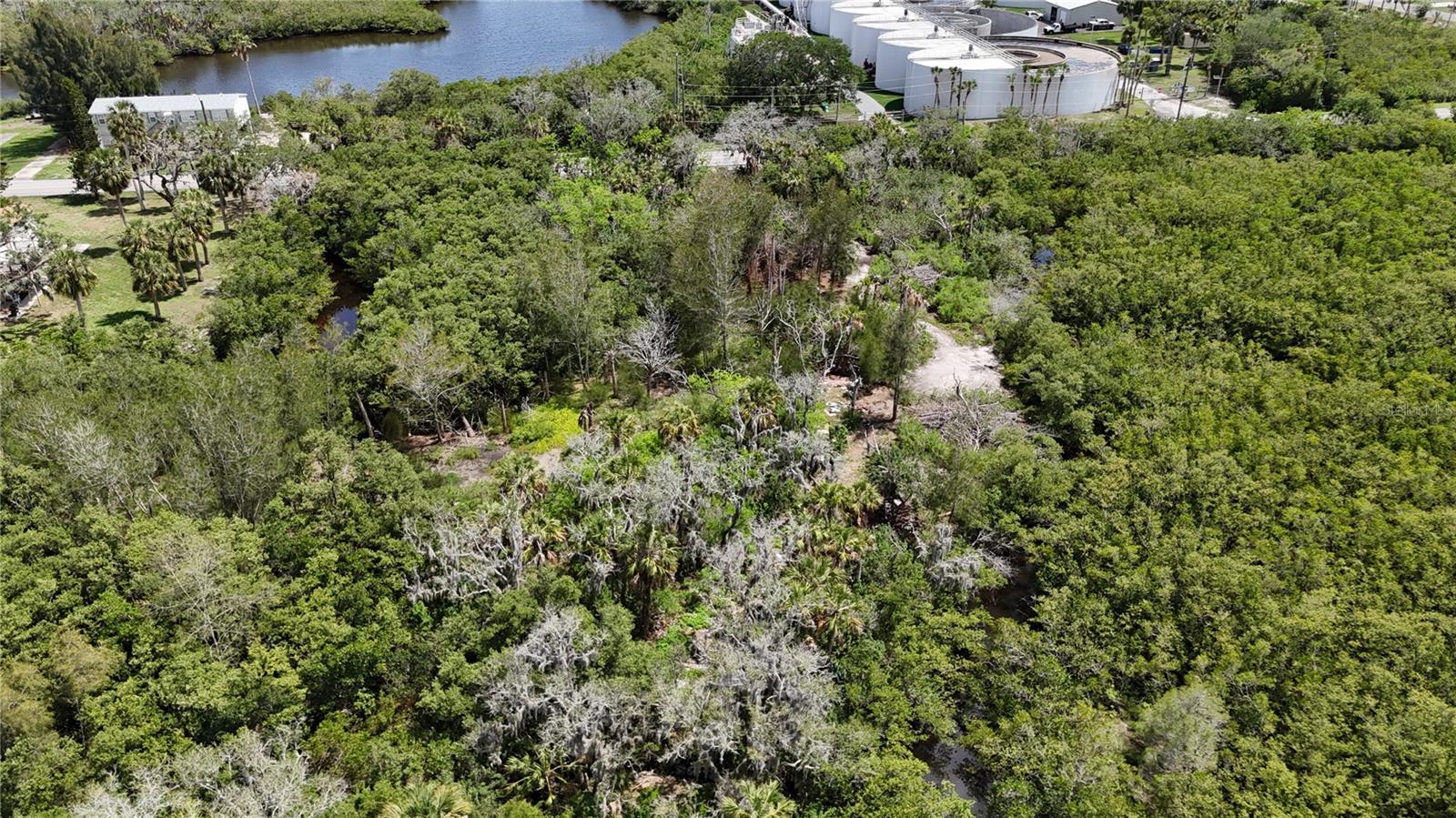 TAMPA TARPON SPGS LAND CO - Land